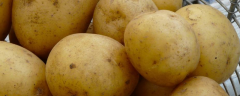 土豆可以放冰箱保存吗？