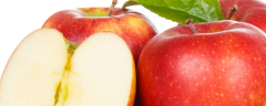 苹果普遍的病害有哪些？