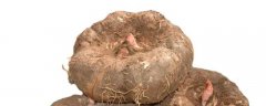 魔芋高产种植技术，如何施肥