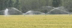 农业用水量主要用于什么