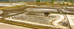 水稻增施有机肥的原因，