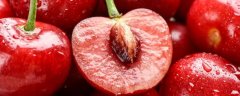 樱桃树苗种植技术，生长