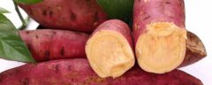 毛薯的种植方法和时间，选择品质好产量高的品