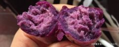 水煮紫薯营养会流失吗，