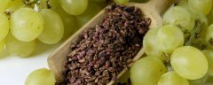 吃葡萄籽要避开经期吗，