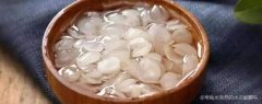 皂角米要泡多久可以煮，