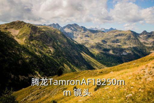  腾龙TamronAF18250mm 镜头