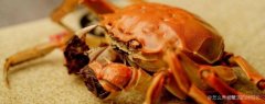 螃蟹蒸多长时间最好吃，