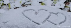 请问雪上写什么字表达爱