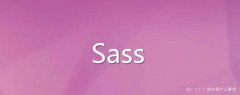 请问sass软件是什么意思？