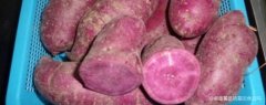 紫薯是不是转基因食品能