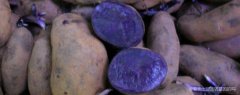 <strong>紫色土豆是不是转基因食</strong>