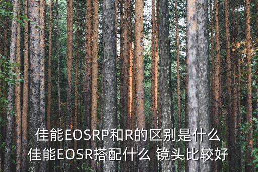 佳能EOSRP和R的区别是什么 佳能EOSR搭配什么 镜头比较好