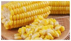 玉米常温下能保存多久（