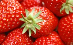 草莓苗种植步骤详解（种