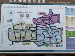 北京动物园攻略指南（提