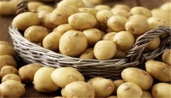 土豆的性质和饮食搭配（