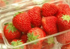 草莓可以放冰箱冷藏吗（