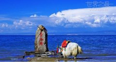 中国最大的咸水湖（五大