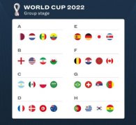 卡塔尔世界杯为什么在1