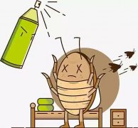 死蟑螂会引来更多蟑螂吗