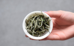 白茶是红茶还是绿茶系列