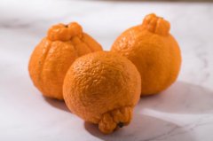 丑橘和粑粑柑哪个更美味