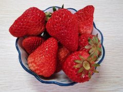 丹东草莓的生长季节（介