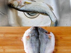 海鲈鱼和淡水鲈鱼的区别