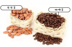 可可豆和咖啡豆的区别（