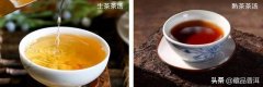 生普洱茶和熟普洱茶的区