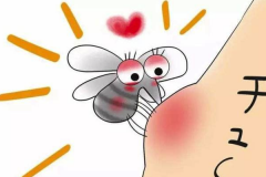 吸引蚊虫叮咬的不同血型