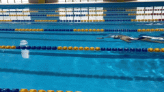 自由泳的正确姿势教程（