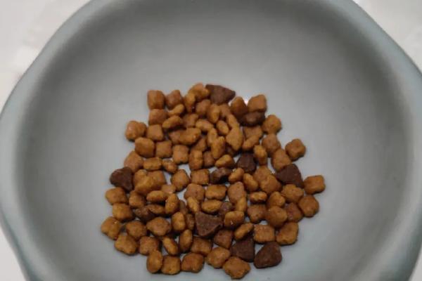 10克猫粮有多少粒，一般有10粒左右