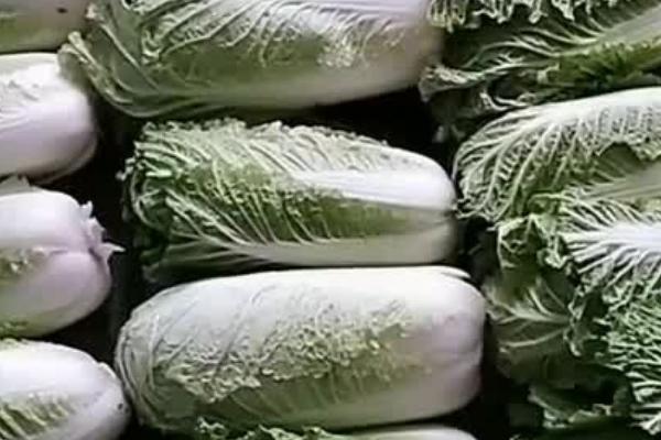 大白菜冬天怎么保存，可存放在背风、干燥的环境中