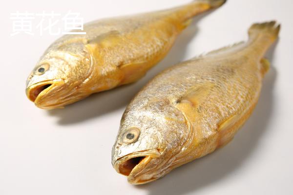 大黄鱼和黄花鱼是不是同一种鱼，二者并不完全相同