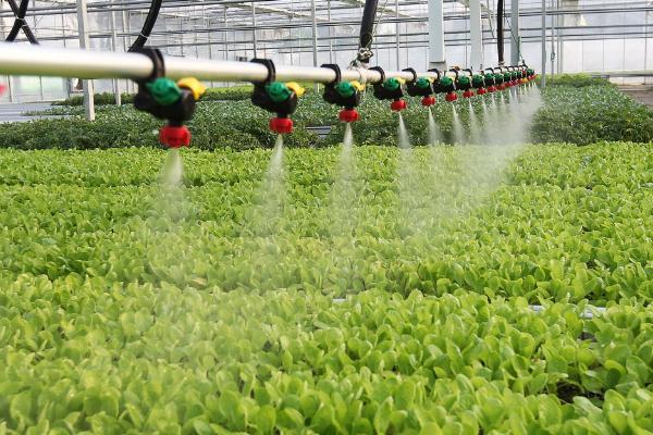 大棚蔬菜二氧化碳施肥技术，不同蔬菜施用量不同