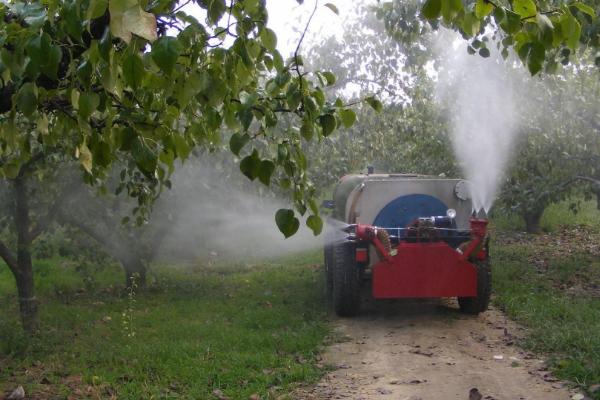 冬春梨树病虫害防治方法，可人工防治或药剂防治