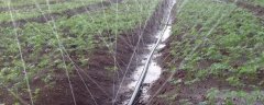 冬季灌溉系统保养方法，